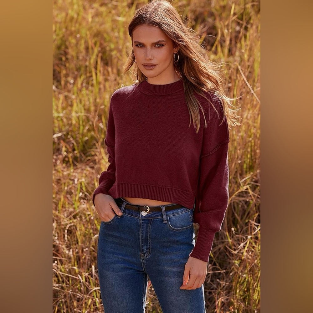✨NWOT✨ Cropped Sweater - Wine Color - Medium